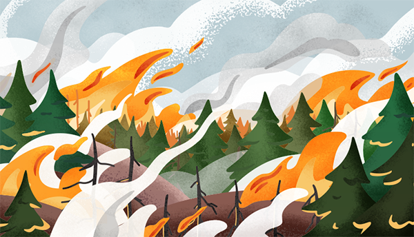 Illustration of wildfire shows flame and smoke rising over a pine forest.