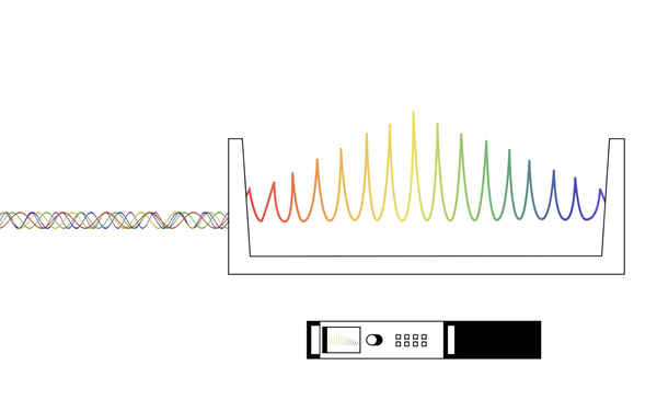 Line drawing shows waves entering a frequency comb with colorful peaks. 