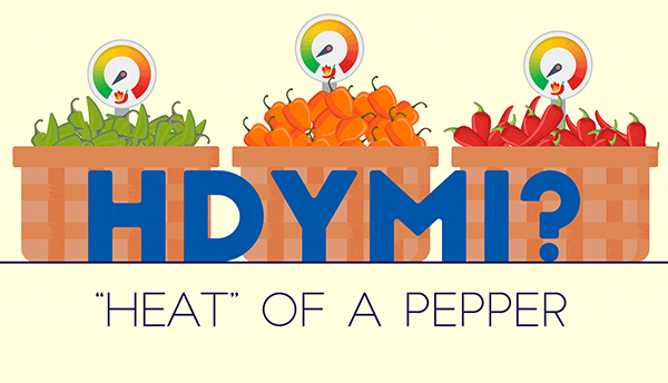 Animation shows three baskets of peppers with moving dials showing heat rising and falling, with text "HDYMI? 'Heat' of a Pepper."