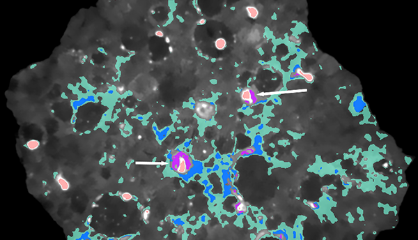 Color-coded X-ray image shows slice of meteorite with different colored blobs inside. 