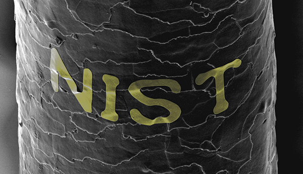 Microscope image shows the word "NIST" in gold letters on a strand of human hair.