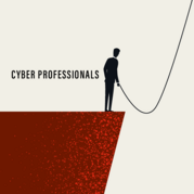 Figure labeled "Cyber Professional" stands on the edge of a cliff holding a rope and looking down uncertainly.