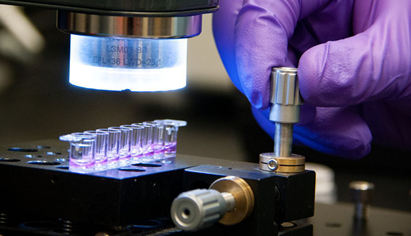 A hand in a purple glove turns a metal dial on a plate holding tiny vials of purple hydrogel with tissue scaffolds.  