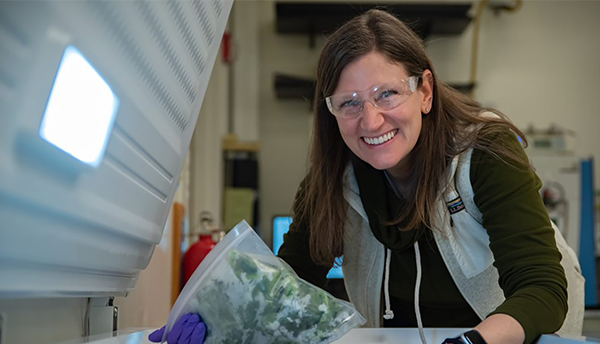 Melissa Phillips, wearing safety glasses, poses leaning over an open chest freezer, holding a plastic bag of spinach. 