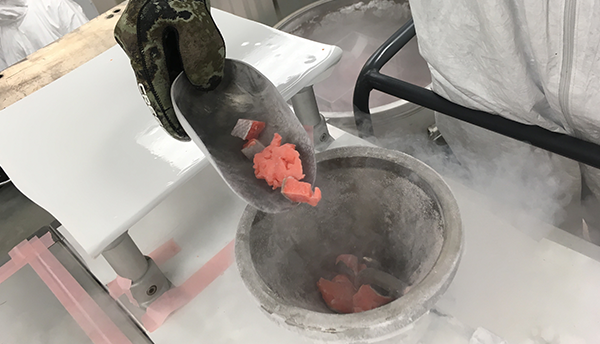 Pieces of salmon are being fed from a metal holder into the icy opening of a milling machine. 