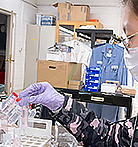 Scientist in a NIIMBL lab