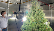 A researcher wearing a face mask gestures to a Christmas tree set up in a metallic box with a large spotlight shining on it. 