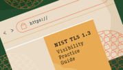 Illustration shows a website with https:// at the top and and the NIST TLS 1.3 Visibility Practice Guide on the screen. 