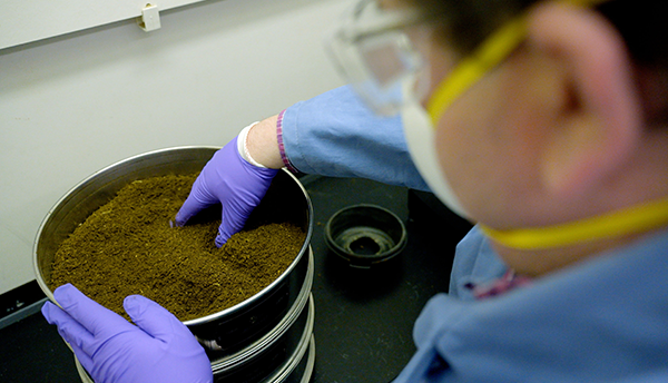 A person wearing a mask and laboratory gloves handles ground hemp plant material inside a metal container.