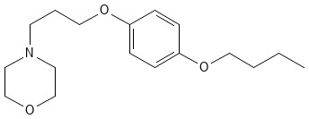 Structure of pramoxine.