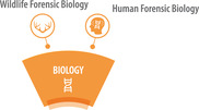 OSAC's Biology SAC and Subcommittees