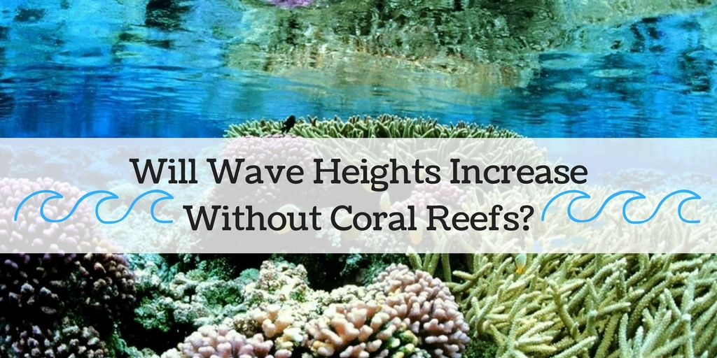 Coral Reef banner