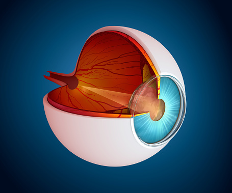 ilustracion de un ojo