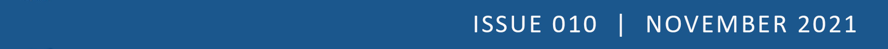 Footer that indicates the issue number (010) and the month of publication (November 2021)