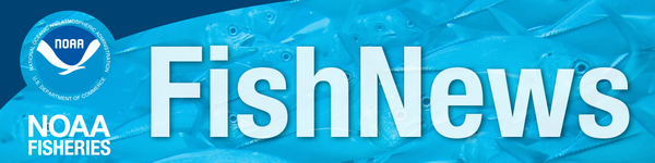 NOAA Fish News