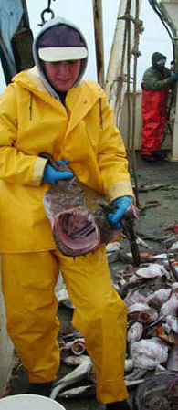 Ursula on monkfish cruise