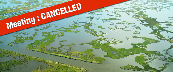January 17 Louisiana Trustee Implementation Group Public Meeting Cancelled Due to Inclement Weather