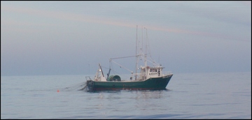 Drift Gillnet Fishery