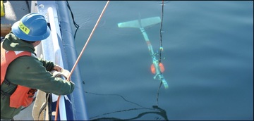 Whale research expedition