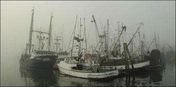 Salmon fishery closure