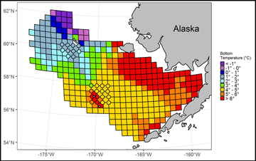 Bering Sea Temperature Survey