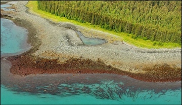 Alaska ShoreZone