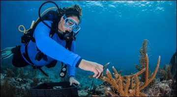 Coral Restoration Foundation