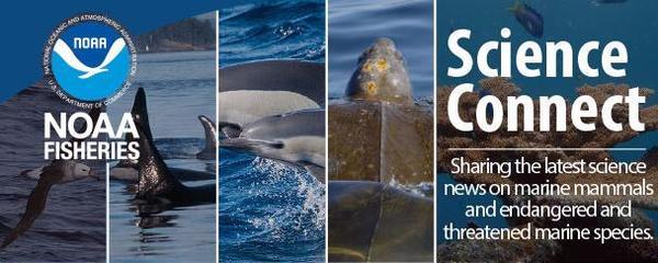 Science Connect Banner