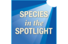 SpeciesInSpotlightGraphic