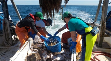 National Bycatch Report