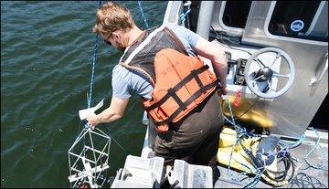 Oyster Reef Monitoring