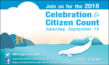 Belugas Count!