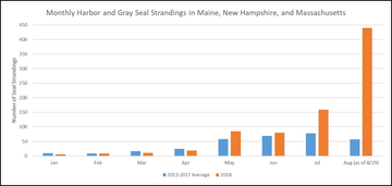Northeastern seal UME
