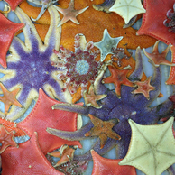 sea stars