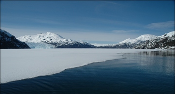 Bering Sea ecosystem status report