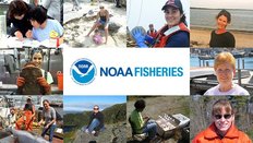 Women's History Month