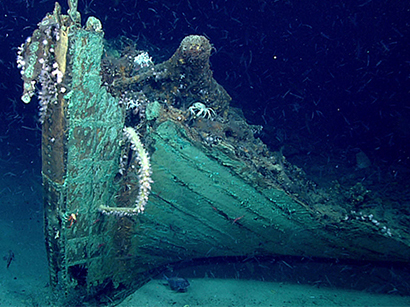 Deep Sea Coral shipwreck