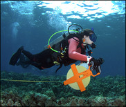 U of Hawaii Marine Option Program