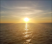 Ocean Month thumbnail