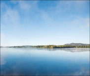 Restoration site in New York