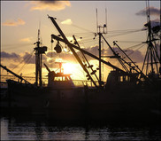 Pacific Coast Groundfish vessels