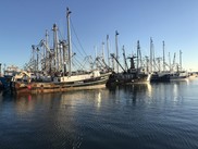 Vessels in port, Cape May, NJ, courtesy of Angela Silva and Lauren Gentile.