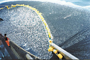 About 400 tons of jack mackerel are caught by a Chilean purse seiner. Photo credit: NOAA Fisheries
