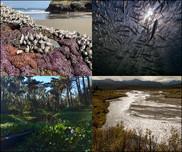 Habitat Photo Contest winners