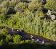 West Coast photo contest