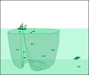 Purse Seine fishing diagram