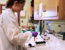 Oyster research, NOAA Fisheries, NEFSC Milford Lab