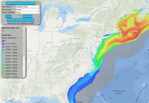 Atlantic Marine Assessment Program for Protected Species (AMAPPS)