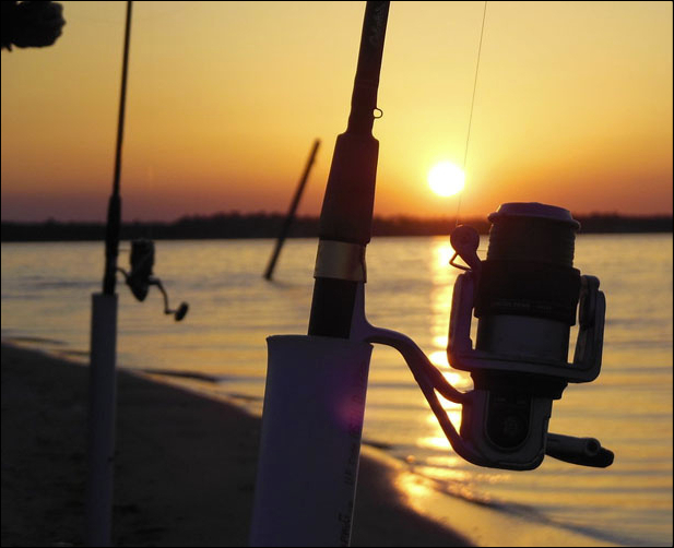 Recreational Fishing