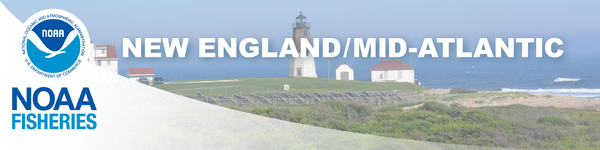 NOAA Fisheries - New England - Mid Atlantic Bulletin
